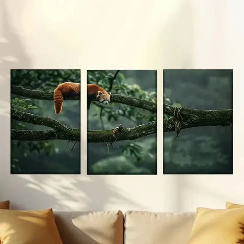 3pcs Sleeping Red Panda Wall Art Set Canvas Unframed – High Quality Print 100% Australian Made Wall Canvas
