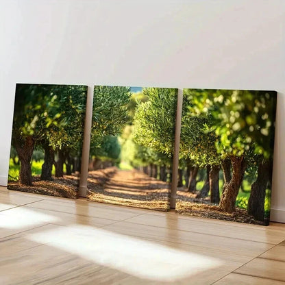 3pcs Serene Pathway Lush Greenery Warm Sunlight Wall Art Set Canvas Framed 60x90cm - High Quality Print 100% Australian Made Wall Canvas Ready to Hang - Bella Home Decor