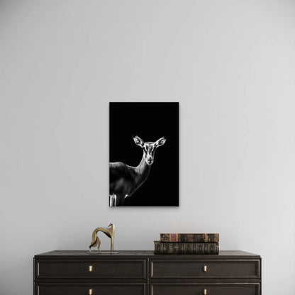 High Contrast Deer Photography Metal Print Ready to Hang
