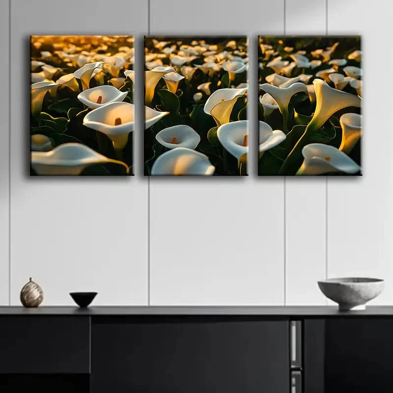 3pcs Calla Lilies Field Print Wall Art Set Canvas Framed 50x70cm - High Quality Print 100% Australian Made Wall Canvas Ready to Hang - Bella Home Decor