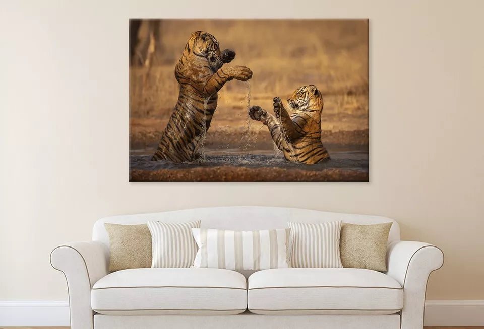Tiger Walking During Golden Light  Wall Art Decor 100% Australian Made - Bella Home Decor