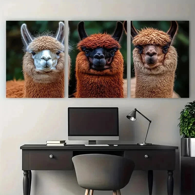 3pcs Fluffy Llamas Alpacas Decor Perfect Wall Art Set Canvas Framed 50x70cm - High Quality Print 100% Australian Made Wall Canvas Ready to Hang - Bella Home Decor