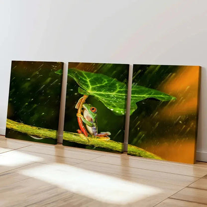 3pcs Frog Under Lotus Leaf to Protect From Rain Wall Art Set Canvas Framed 40x60cm - High Quality Print 100% Australian Made Wall Canvas Ready to Hang - Bella Home Decor
