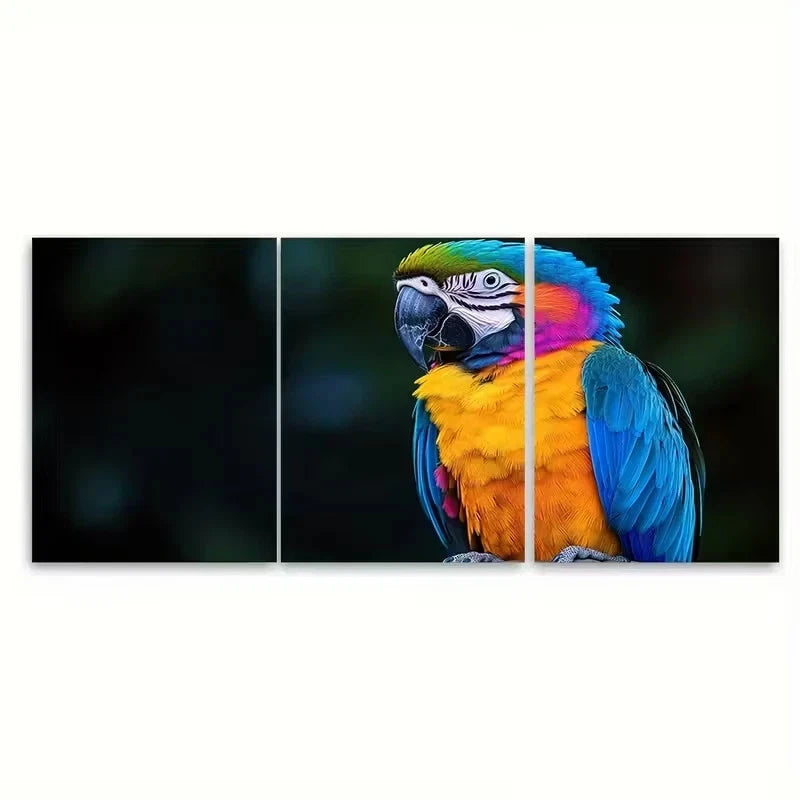 3pcs Colorful Parrot Feathers Nature Wall Art Set Canvas Framed 60x90cm - High Quality Print 100% Australian Made Wall Canvas Ready to Hang - Bella Home Decor