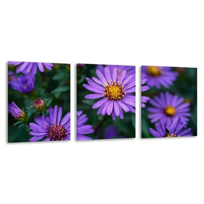 3pcs Bunch of Purple Asters with Yellow  Wall Art Set Canvas Framed 40x60cm - High Quality Print 100% Australian Made Wall Canvas Ready to Hang - Bella Home Decor