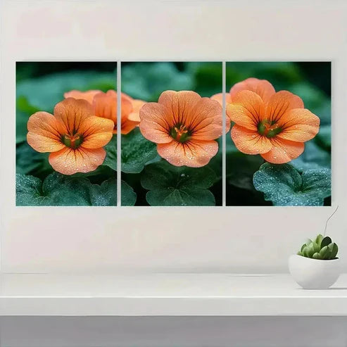 3pcs Vibrant Orange Nasturtium Flower Wall Art Canvas Unframed - High Quality Print 100% Australian Made Wall Canvas - Bella Home Decor