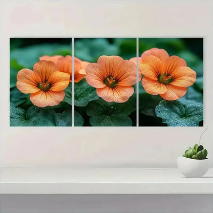 3pcs Vibrant Orange Nasturtium Flower Wall Art Canvas Unframed - High Quality Print 100% Australian Made Wall Canvas - Bella Home Decor