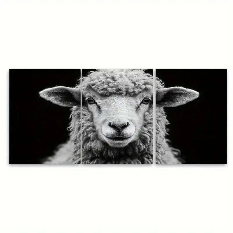 3pcs Fluffy Ram Sheep Black and White T   Wall Art Set Canvas Framed 50x70cm - High Quality Print 100% Australian Made Wall Canvas Ready to Hang - Bella Home Decor