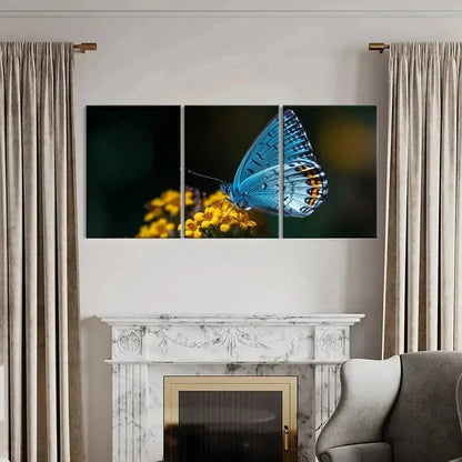 3pcs Vibrant Blue Butterfly with Yellow Flower Wall Art Set Canvas Framed 60x90cm - High Quality Print 100% Australian Made Wall Canvas Ready to Hang - Bella Home Decor