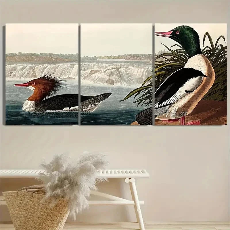 3pcs Goosander Wall Art Set Canvas Framed 50x70cm - High Quality Print 100% Australian Made Wall Canvas Ready to Hang - Bella Home Decor