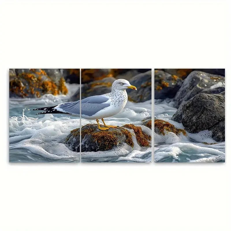 3pcs Seagull Mossy Rocks by Sea D  Wall Art Set Canvas Framed 50x70cm - High Quality Print 100% Australian Made Wall Canvas Ready to Hang