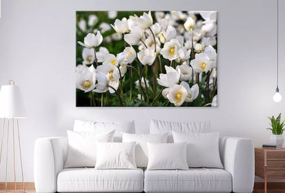 Beautiful White Spring Flowers  Wall Art Decor 100% Australian Made - Bella Home Decor