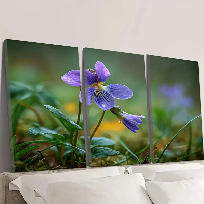 3pcs wild flower dog violet Wall Art Set Canvas Framed 50x70cm - High Quality Print 100% Australian Made Wall Canvas Ready to Hang