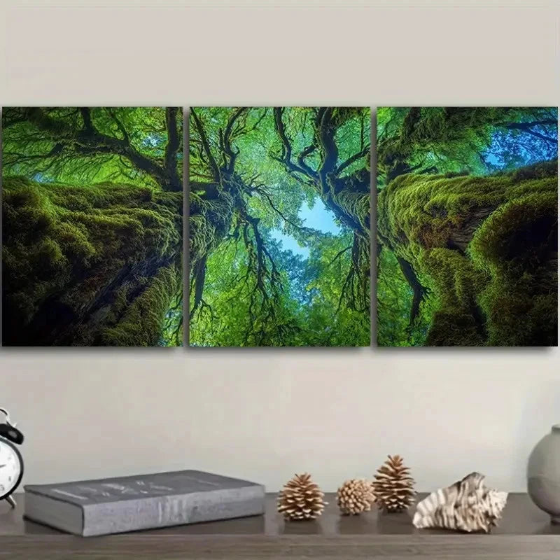 3pcs The Perspective from Within an Old Tree Wall Art Set Canvas Framed 60x90cm - High Quality Print 100% Australian Made Wall Canvas Ready to Hang