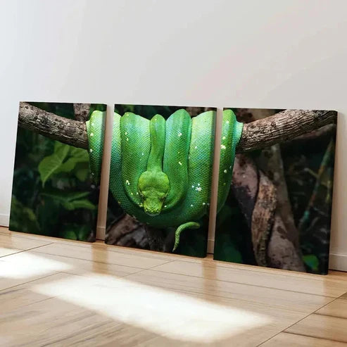 3pcs Cold Blooded Reptile Art Snake Python Wall Art Canvas Unframed – High Quality Print 100% Australian Made Wall Canvas - Bella Home Decor