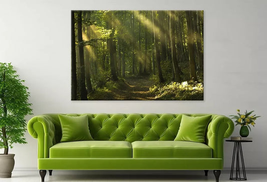 Beams Of Sunlight And Trees Wall Art Decor 100% Australian Made - Bella Home Decor