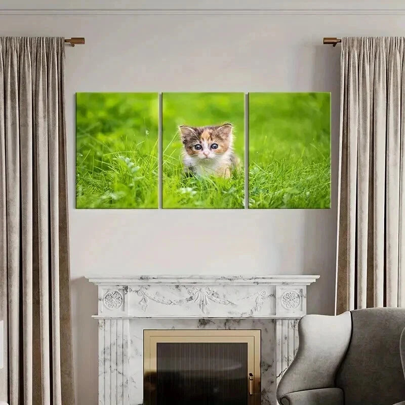 3pcs Cute Small Kitten In Grass Portrait Wall Art Set Canvas Framed 60x90cm - High Quality Print 100% Australian Made Wall Canvas Ready to Hang - Bella Home Decor