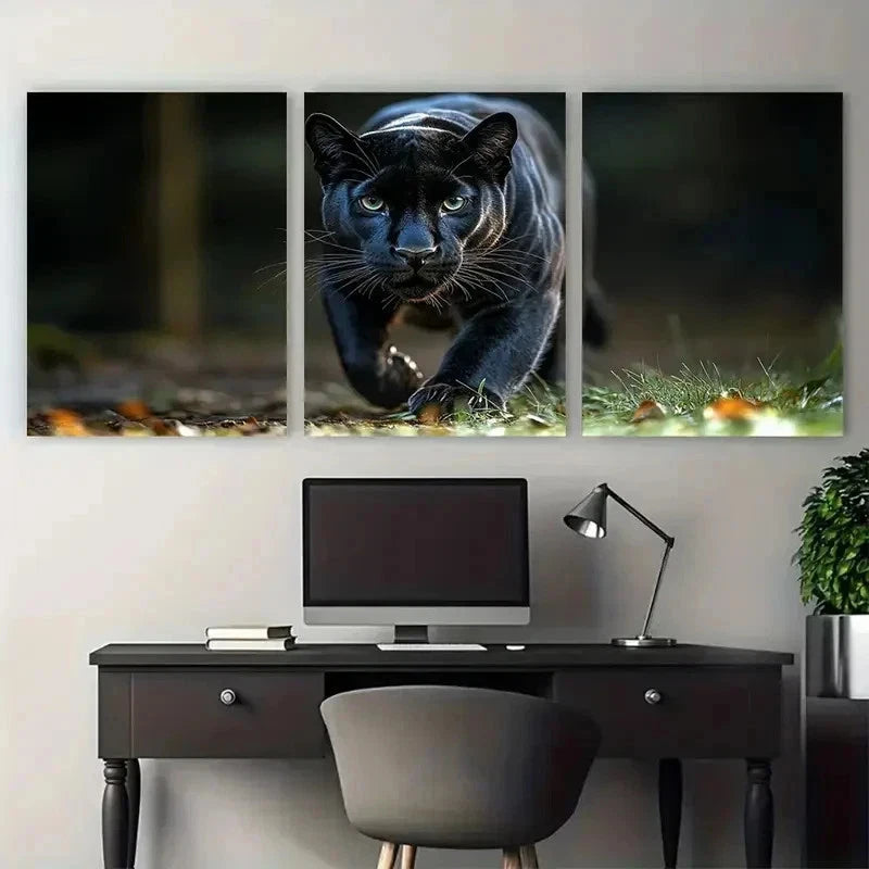 3pcs Stunning Wild Cat Photography Sleek Perfect Wall Art Set Canvas Framed 50x70cm - High Quality Print 100% Australian Made Wall Canvas Ready to Hang