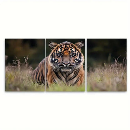 3pcs Tiger Wildlife Photography RE Wall Art Set Canvas Framed 60x90cm - High Quality Print 100% Australian Made Wall Canvas Ready to Hang - Bella Home Decor