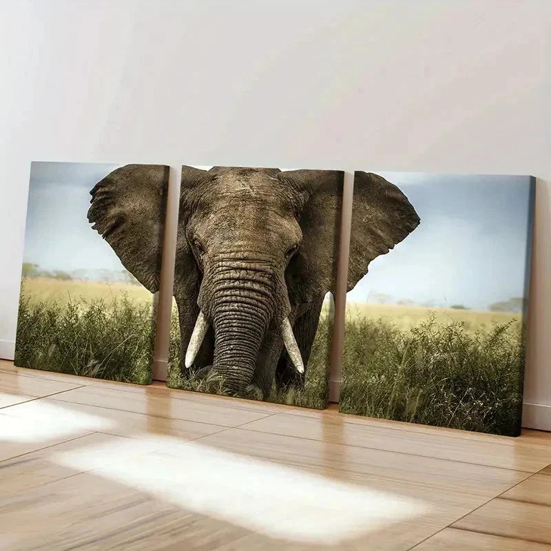 3pcs Elephant African Savanna Decoration Wall Art Set Canvas Framed 50x70cm - High Quality Print 100% Australian Made Wall Canvas Ready to Hang