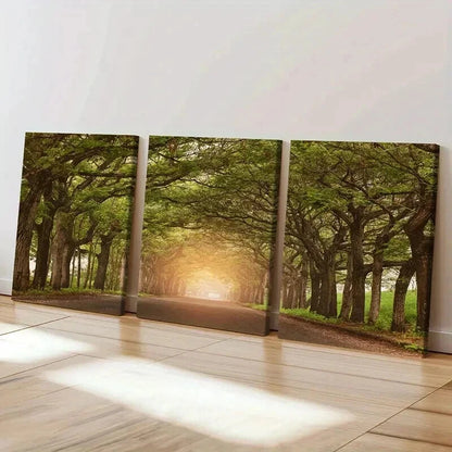 3pcs Sunshine Through Trees Roads Modern Wall Art Set Canvas Framed 50x70cm - High Quality Print 100% Australian Made Wall Canvas Ready to Hang - Bella Home Decor