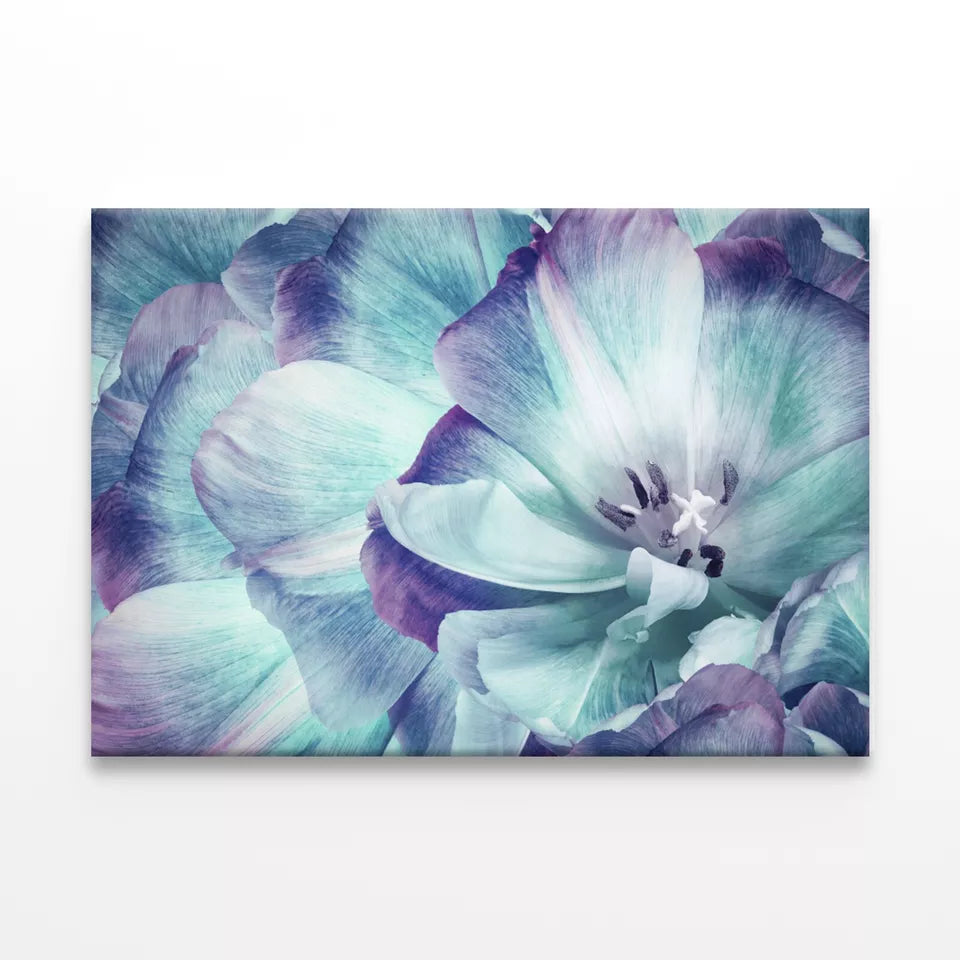 Elegant Tulip Flower And Close up  Wall Art Decor 100% Australian Made - Bella Home Decor