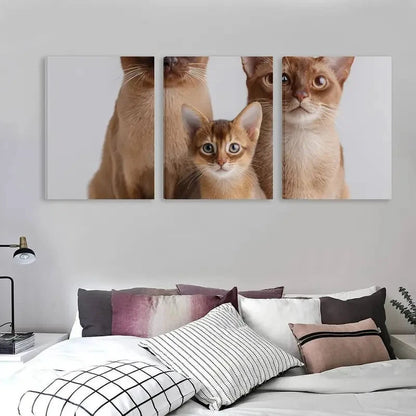 3pcs Three Brown Cats of Different Sizes  Wall Art Set Canvas Framed 40x60cm - High Quality Print 100% Australian Made Wall Canvas Ready to Hang - Bella Home Decor