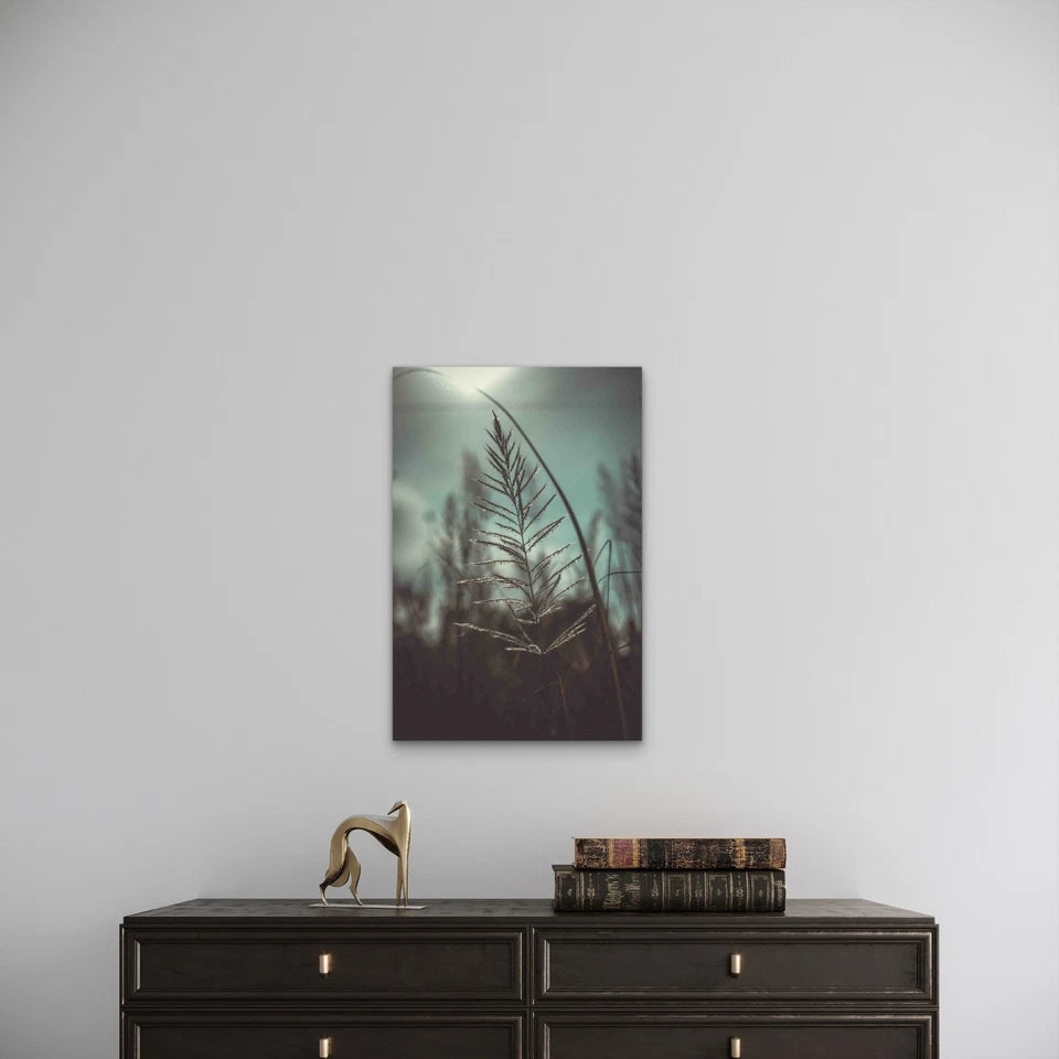 Close-up Shot of Grass with Seeds Metal Print Ready to Hang