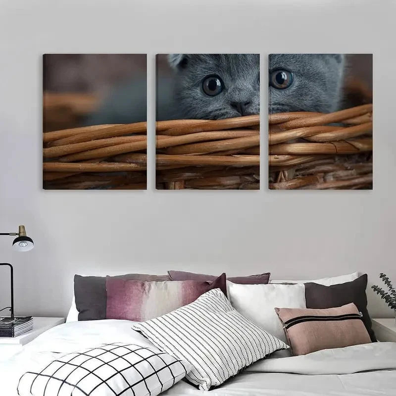 3pcs A Tiny Kitten Peeks From Basket  Wall Art Set Canvas Framed 40x60cm - High Quality Print 100% Australian Made Wall Canvas Ready to Hang - Bella Home Decor