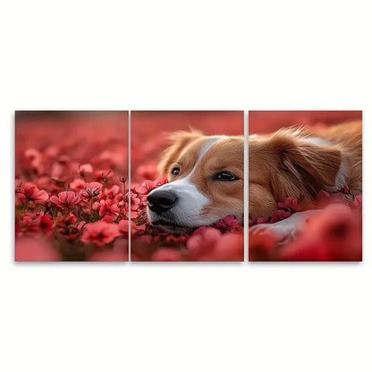 3pcs Australian Shepherd Dog  Wall Art Set Canvas Framed 50x70cm - High Quality Print 100% Australian Made Wall Canvas Ready to Hang - Bella Home Decor