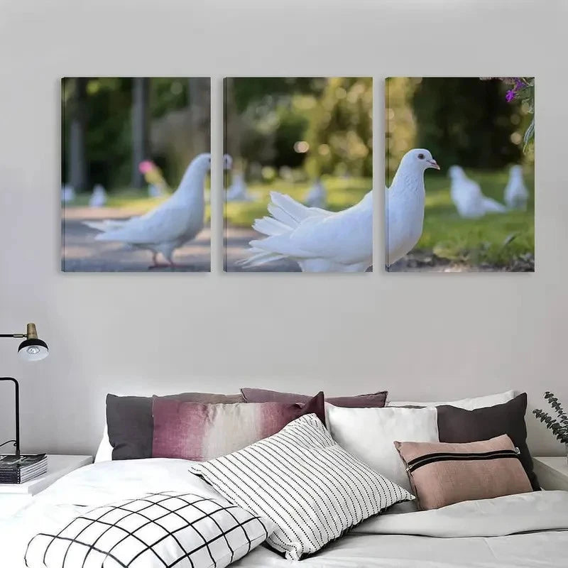 3pcs Elegant Dove Painting with White Doves on  Wall Art Set Canvas Framed 40x60cm - High Quality Print 100% Australian Made Wall Canvas Ready to Hang