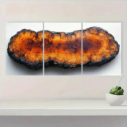 3pcs Oak Wood Tree Rings & Abstract Nature OK Wall Art Canvas Unframed – High Quality Print 100% Australian Made Wall Canvas