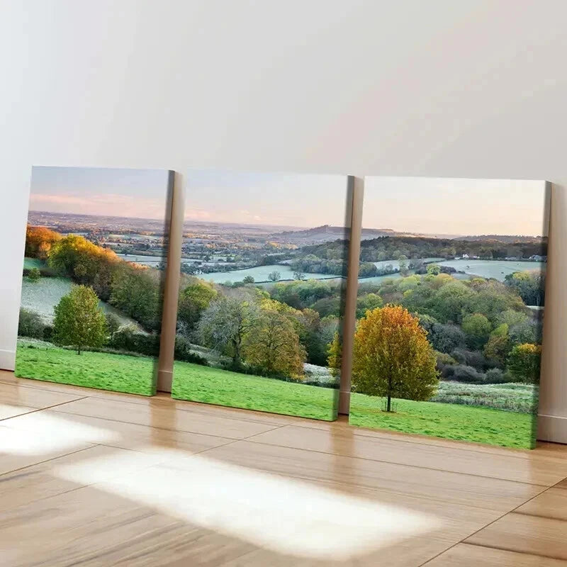 3pcs Rolling Hills Trees and Sunlit Meadows Wall Art Set Canvas Framed 60x90cm - High Quality Print 100% Australian Made Wall Canvas Ready to Hang - Bella Home Decor