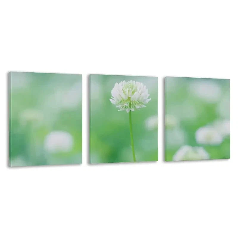 3pcs A Single White Clover In Bloom   Wall Art Set Canvas Framed 50x70cm - High Quality Print 100% Australian Made Wall Canvas Ready to Hang - Bella Home Decor