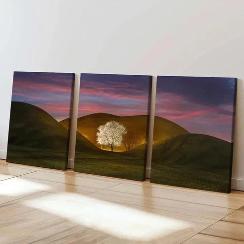 3pcs Tree In The Valley Nature Landscape Wall Art Canvas Unframed - High Quality Print 100% Australian Made Wall Canvas