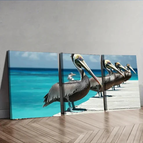 3pcs Brown Pelicans Colorful Sharpe Perfect Wall Art Set Canvas Unframed - High Quality Print 100% Australian Made Wall Canvas - Bella Home Decor