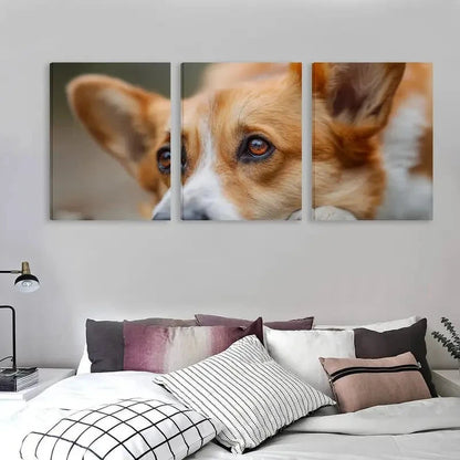 3pcs Adorable Welsh Corgi Dog Ground & Eyes  Wall Art Set Canvas Framed 60x90cm - High Quality Print 100% Australian Made Wall Canvas Ready to Hang - Bella Home Decor