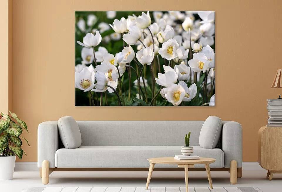 Beautiful White Spring Flowers  Wall Art Decor 100% Australian Made - Bella Home Decor