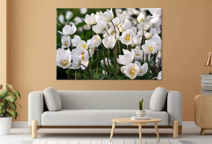 Beautiful White Spring Flowers  Wall Art Decor 100% Australian Made - Bella Home Decor