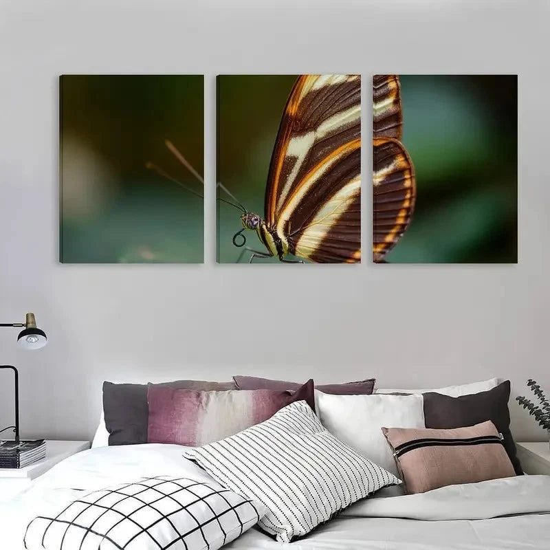 3pcs Elegant Butterfly Vibrant Colors     Wall Art Set Canvas Framed 40x60cm - High Quality Print 100% Australian Made Wall Canvas Ready to Hang