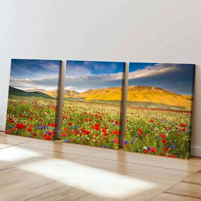 3pcs Mountain Flower Field Modern Decoration Wall Art Set Canvas Framed 40x60cm - High Quality Print 100% Australian Made Wall Canvas Ready to Hang - Bella Home Decor