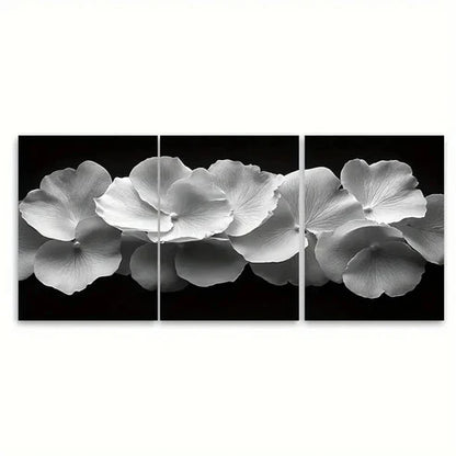 3pcs Black and White Delicate Rose Wall Art Set Canvas Unframed – High Quality Print 100% Australian Made Wall Canvas - Bella Home Decor