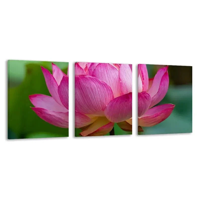 3pcs Pink for Lotus flower Blooms in the Center Wall Art Set Canvas Framed 60x90cm - High Quality Print 100% Australian Made Wall Canvas Ready to Hang