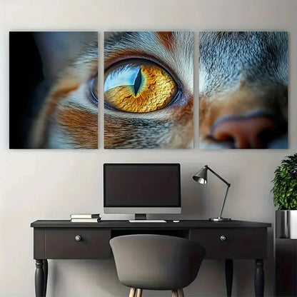 3pcs Amber Cat Eyes Canvas Print   Wall Art Set Canvas Framed 40x60cm - High Quality Print 100% Australian Made Wall Canvas Ready to Hang - Bella Home Decor