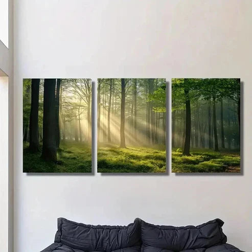 3pcs Sunlight Shining Through Green Forest Wall Art Set Canvas Unframed - High Quality Print 100% Australian Made Wall Canvas