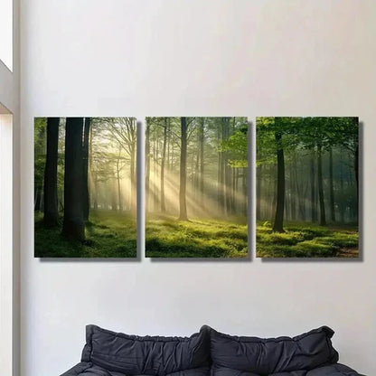 3pcs Sunlight Shining Through Green Forest Wall Art Set Canvas Unframed - High Quality Print 100% Australian Made Wall Canvas