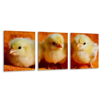 3pcs Yellow Baby Chicks on an Orange Towel   Wall Art Set Canvas Framed 60x90cm - High Quality Print 100% Australian Made Wall Canvas Ready to Hang - Bella Home Decor
