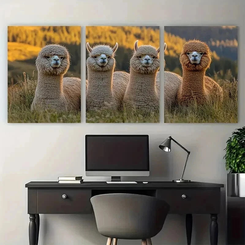 3pcs Huacaya Suri Alpaca Farm Nature Perfect Wall Art Set Canvas Framed 50x70cm - High Quality Print 100% Australian Made Wall Canvas Ready to Hang