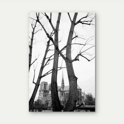 Trees Mansion Black White 60x90 cm Metal Print Ready to Hang - Bella Home Decor