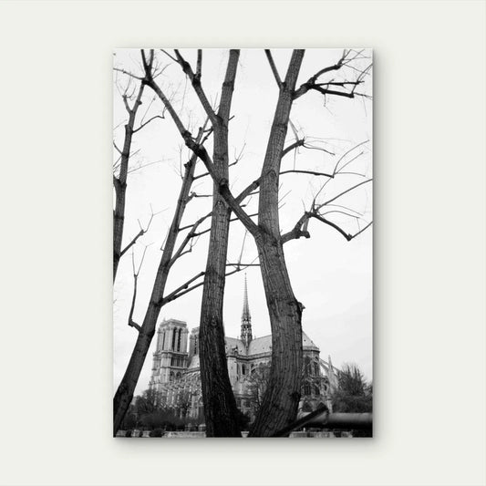 Trees Mansion Black White 60x90 cm Metal Print Ready to Hang